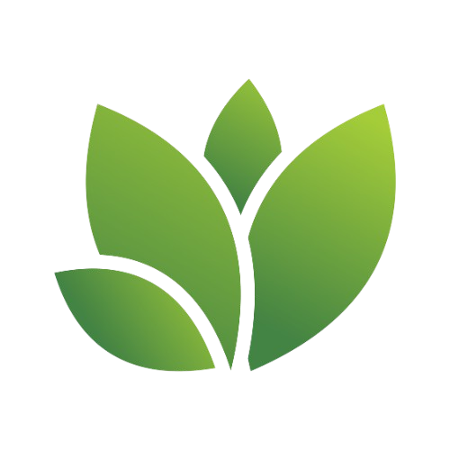 BioMerveile - Logo - Produits Bio 100% Naturel
