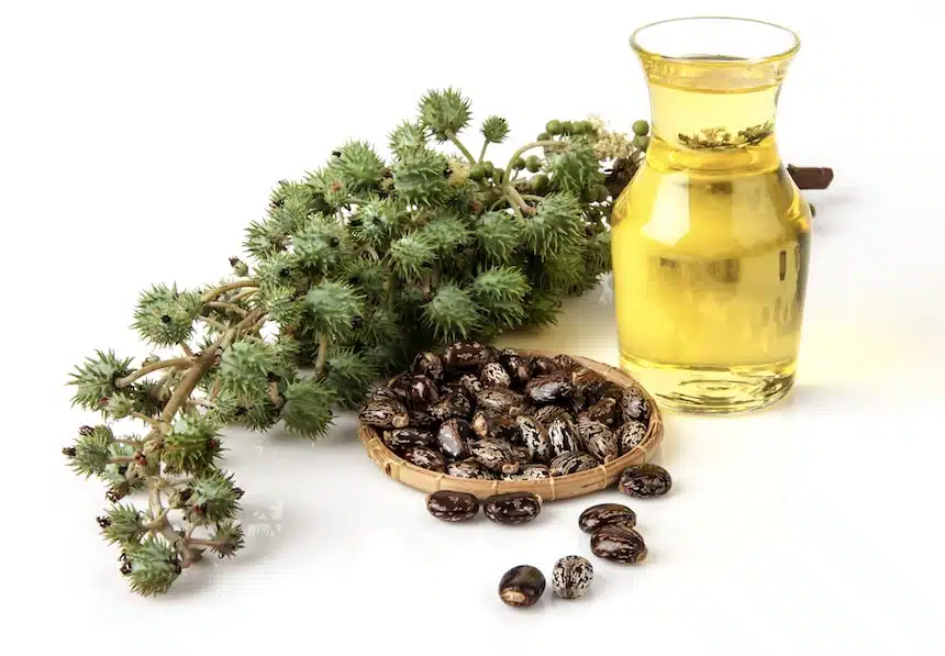BioMerveille - Huile de Ricin - Produits Bio 100% Naturel - Végan