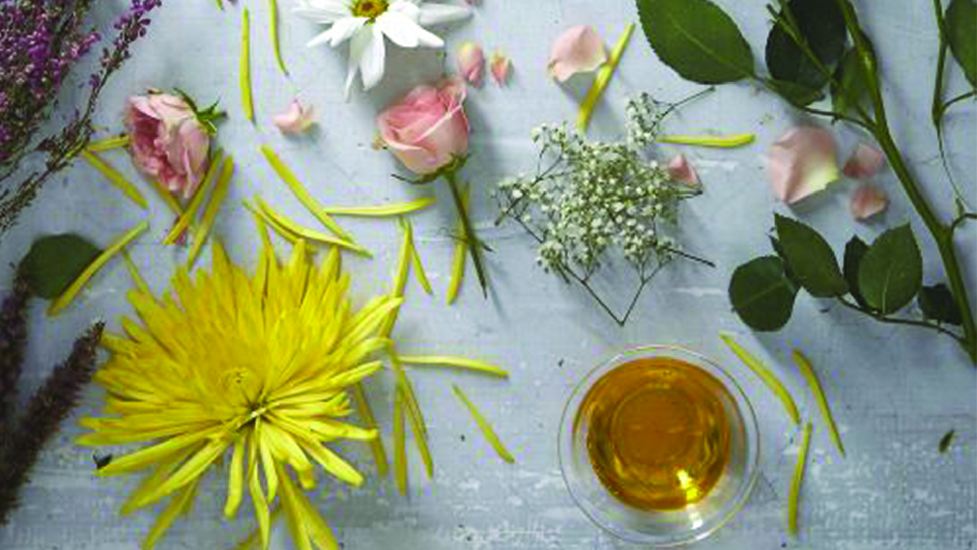 Nootropique Naturel - Huile Essentielle de Romarin à Cinéole