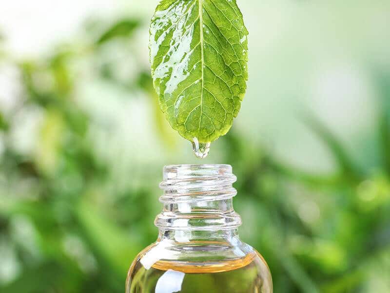 Aromathérapie Naturelle - Nootropique Naturelle