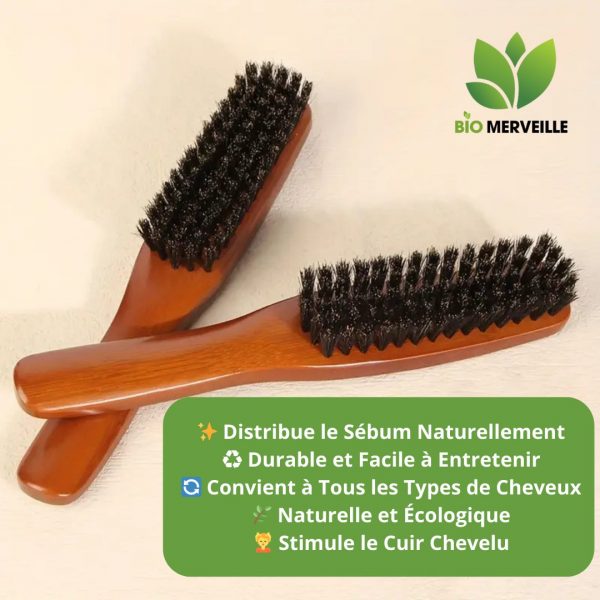 Brosse Barbe et Cheveux - Bois et Poils Naturels