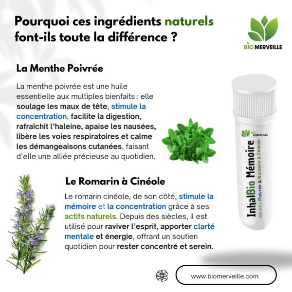 Huile Essentielle Menthe Poivrée et Romarin à Cinéole